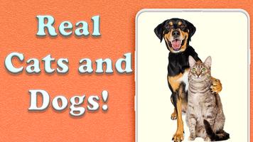 برنامه‌نما iTranslator: Dog and Cat عکس از صفحه