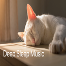 Deep Sleep APK