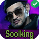 musique soolking اغاني سولكينغ بدون انترنت APK