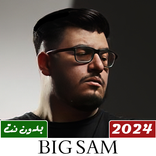 اغاني بيج سام بدون نت 2024