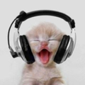 Music cat