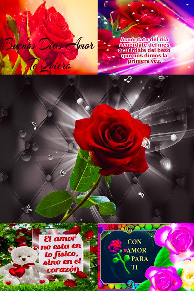 Rosas con Frases Bonitas Para Enamorar APK pour Android Télécharger