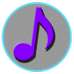 Music Player Pro