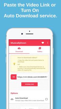 MusicallyDown - Video Downloader for TikTok