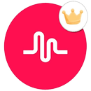 Musicaly & TikTok Video Downloader APK
