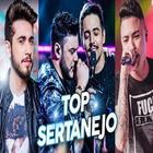 ikon Top Musicas Sertanejo Mp3