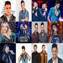Sertanejas Musicas Sem internet 2019 APK