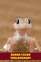 Suara Cicak HD 截图 1