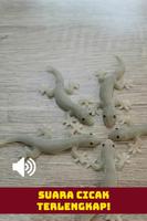 Suara Cicak HD 截图 2