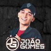 João Gomes Música Offline 2023