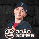 João Gomes Música Offline 2023 APK