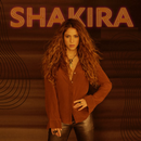 Shakira - Acróstico APK