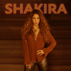 Shakira - Acróstico-icoon