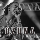 Ozuna Musica icône