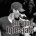 Enrique Iglesias Musica icône