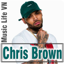Chris Brown - Album Offline Music APK