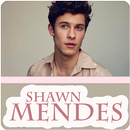 Shawn Mendes Album Offline APK