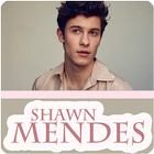 Shawn Mendes Album Offline icon