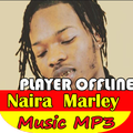 Naira Marley lol