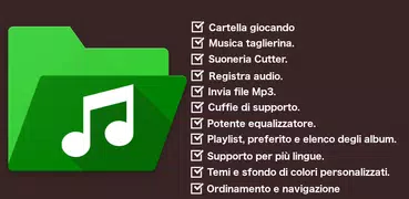 Cartella Musica, Lettore video