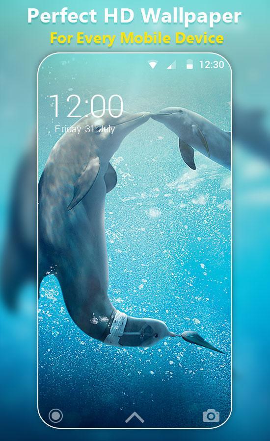 Dolphin Live Wallpaper Hd For Android Apk Download Images, Photos, Reviews