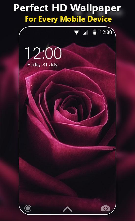 3D Rose Live Wallpaper HD APK for Android Download 3D Rose Live Wallpaper HD APK for Android Download