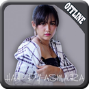 Lagu Happy Asmara Offline Koleksi Lagu Terlengkap APK