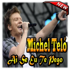 Michel Teló - Ai Se Eu Te Pego icon