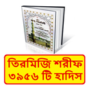 তিরমিজি শরীফ ~ Tirmizi Sharif aplikacja