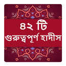 ৪২ টি গুরুত্বপূর্ণ হাদীস বই APK