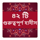 ৪২ টি গুরুত্বপূর্ণ হাদীস বই иконка