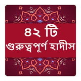 ৪২ টি গুরুত্বপূর্ণ হাদীস বই icon