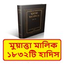 মুয়াত্তা ইমাম মালিক হাদিস শরীফ APK