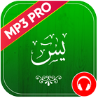Surah Yaseen Mp3 Pro icône