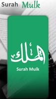 surah mulk audio offline poster