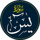 Yasin Application APK