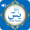 Surah Yaseen (leggi e ascolta)