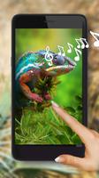 Chameleons Lizards ảnh chụp màn hình 1