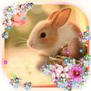 Easter Bunny Live wallpaper APK