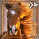 Horses Amazing Live Wallpaper APK