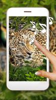 Leoparden Raubtier Plakat