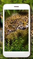 Leopard Predator تصوير الشاشة 1