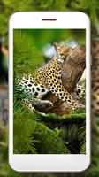 Leopard Predator capture d'écran 2