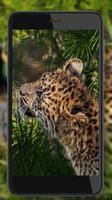 Leopard Predator تصوير الشاشة 3