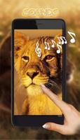 Lion ポスター