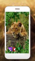 Lion スクリーンショット 1