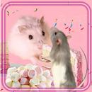 Mouses n Hamsters Cute APK