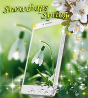 Snowdrops Spring poster