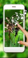Spiders Tropical پوسٹر