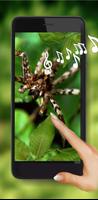 Spiders Tropical اسکرین شاٹ 1